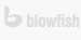 Design, Konzept und Programmierung der Webseite durch Blowfish AG